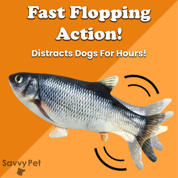 The Funky Fish - Dog Toy