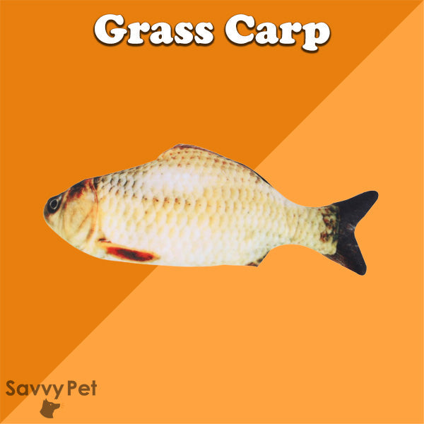 The Funky Fish - Dog Toy