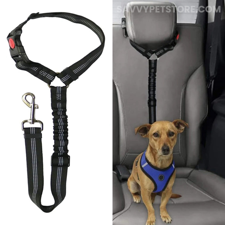 Headrest Bungee Restraint