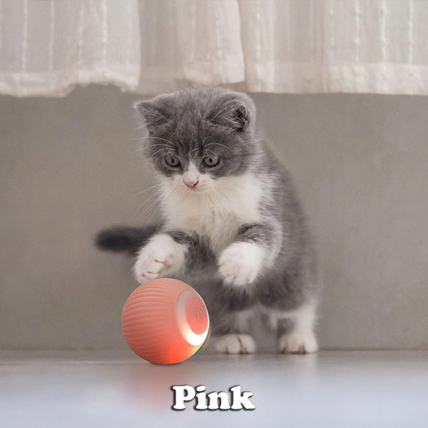 Smart Electric Rolling Cat Ball – Automatic Interactive Toy for Indoor Cats | Self-Moving Training Toy for Kittens