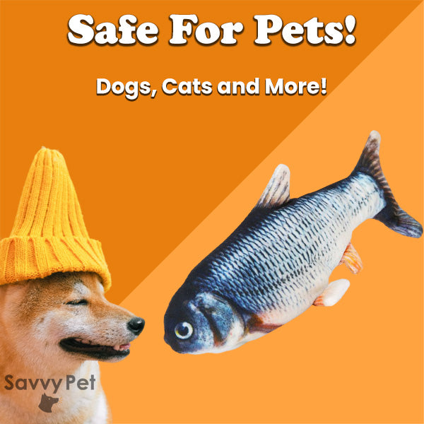 The Funky Fish - Dog Toy