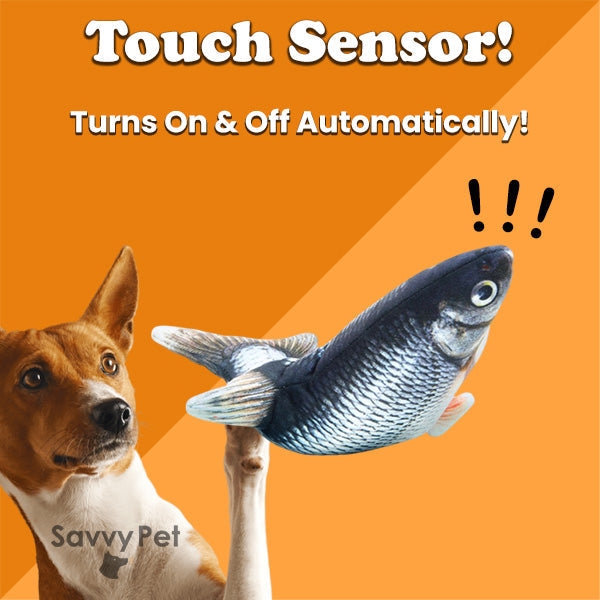 The Funky Fish - Dog Toy