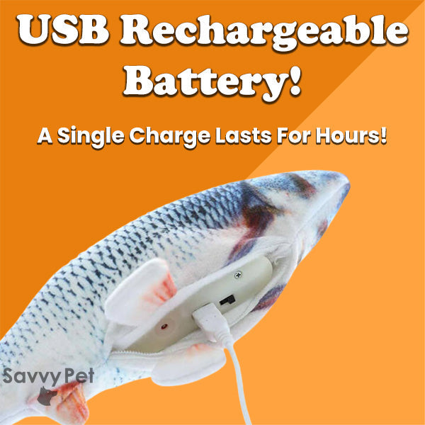 The Funky Fish - Dog Toy