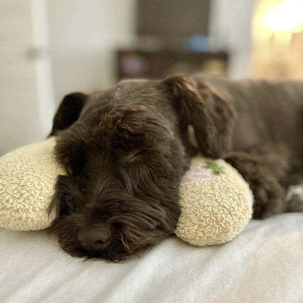 Soothing Pillow