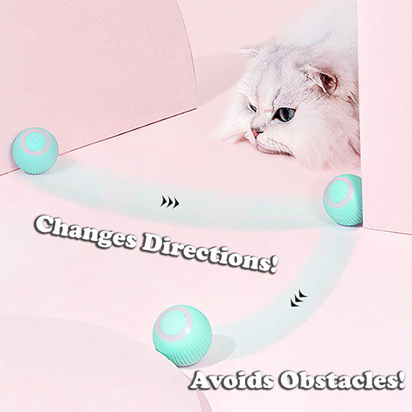 Smart Electric Rolling Cat Ball – Automatic Interactive Toy for Indoor Cats | Self-Moving Training Toy for Kittens