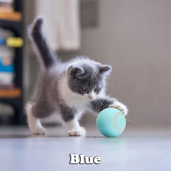 The Krazy Kitty Ball