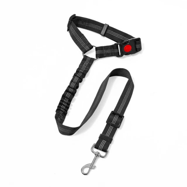 Headrest Bungee Restraint