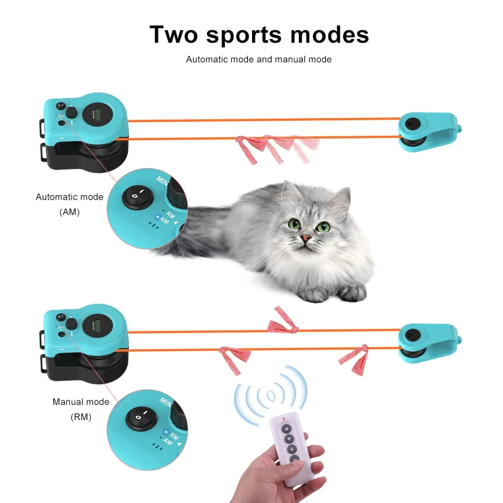 Interactive Cat Exercise Wheel – Adjustable Speed Treadmill Toy for Indoor Cats
