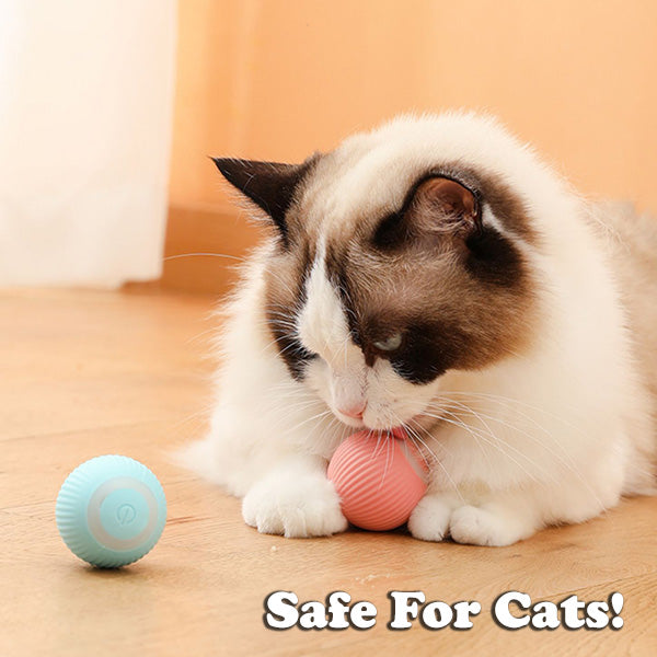 The Krazy Kitty Ball