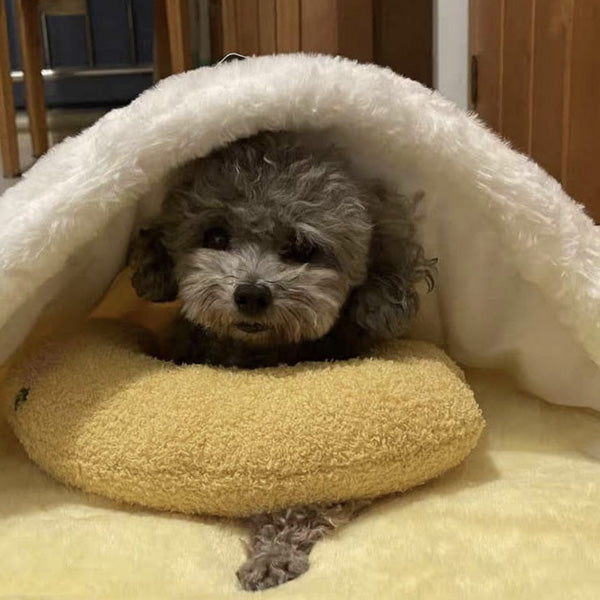 Soothing Pillow