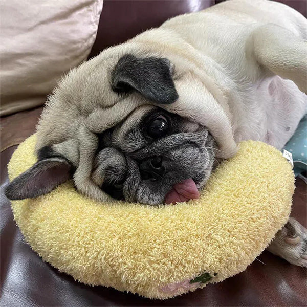 Soothing Pillow