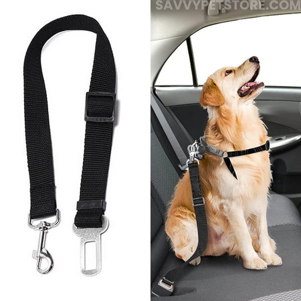 Pet Seat Belt